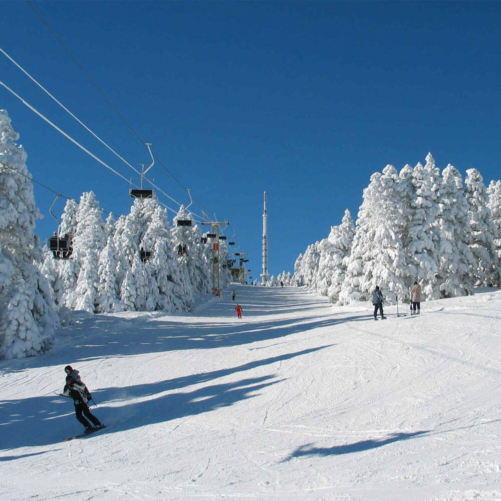 Bakuriani: Georgia's Winter Wonderland Ski Resort